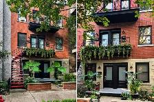 À LOUER-5 1/2 -Electros et Internet inclus (Plateau-Mont-Royal)