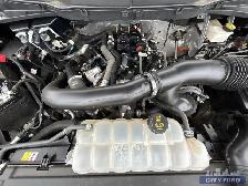 2024 Ford F-150 XLT 4x4 SuperCrew 5.5' Box - Photo 24