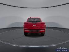 2024 Ford F-150 STX 4x4 SuperCrew 5.5' Box - Photo 7