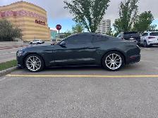 2015 Mustang GT Premium - Photo 3