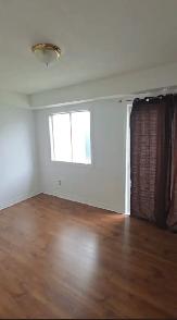 Walk to Algonquin, 2 Bedrooms with Yard $1985.00 - Photo 9
