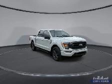 2023 Ford F-150 XLT 4x4 SuperCrew 5.5' Box - Photo 2