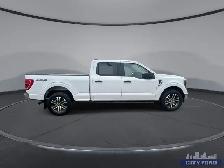 2023 Ford F-150 XLT 4x4 SuperCrew 6.5' Box - Photo 9