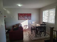 Brand New and Newly Renovated Apartments Now Available! - Photo 9