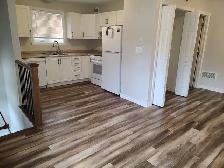 Brand New and Newly Renovated Apartments Now Available! - Photo 10