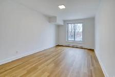 4 1/2 À LOUER/FOR RENT MONTRÉAL PLATEAU MONT-ROYAL - Photo 3