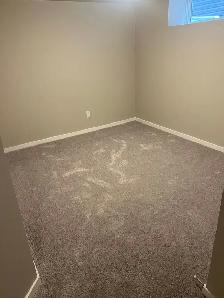 Two Bed Room Basement For Rent - Photo 6