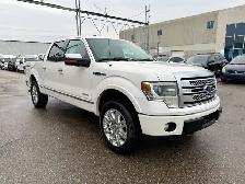 2013 Ford F-150 PLATINUM - Photo 6