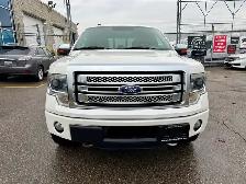 2013 Ford F-150 PLATINUM - Photo 7