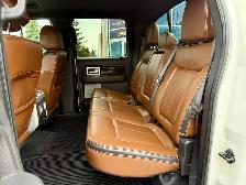 2013 Ford F-150 PLATINUM - Photo 11