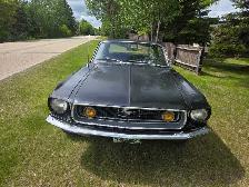 1968 Mustang   Coupe - Photo 3