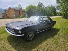 1968 Mustang   Coupe - Photo 4