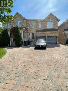 Basement for Rent
