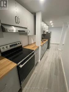 Basement for Rent - Photo 4
