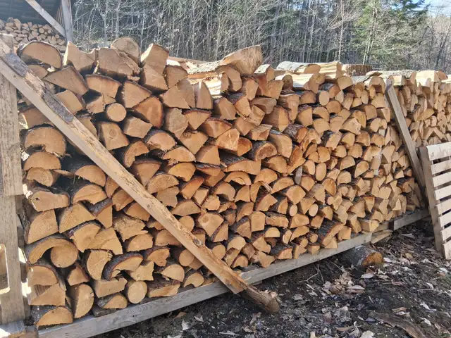 Bois de camping coupé en 16 pouces.