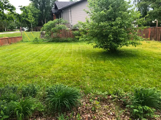 !!AFFORDABLE LAWN CARE!!