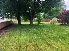 !!AFFORDABLE LAWN CARE!! - Photo 2