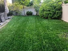 !!AFFORDABLE LAWN CARE!! - Photo 3