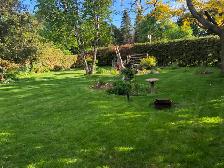 !!AFFORDABLE LAWN CARE!! - Photo 5