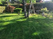 !!AFFORDABLE LAWN CARE!! - Photo 8
