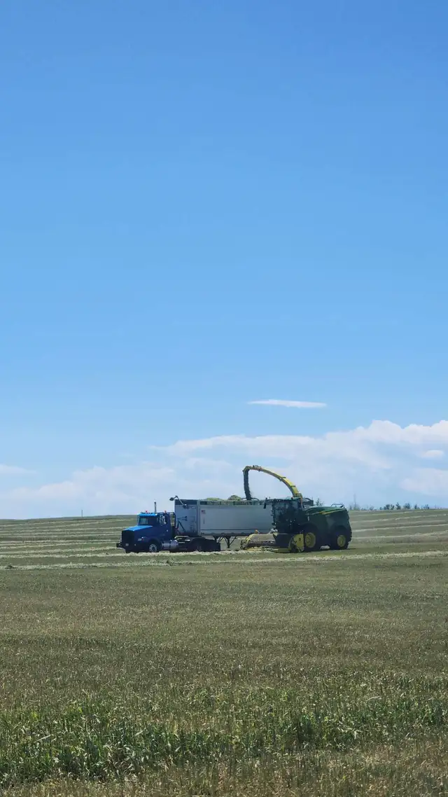 custom silaging and baling