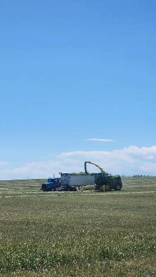 custom silaging and baling