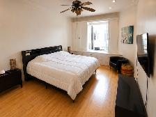 Très bel appartement à louer au cœur du Plateau Mont-Royal - Photo 3
