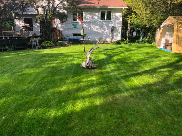 LAWN REPAIR