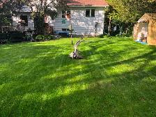 LAWN REPAIR