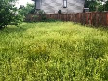 LAWN REPAIR - Photo 2