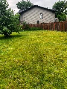 LAWN REPAIR - Photo 3