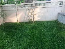 LAWN REPAIR - Photo 5