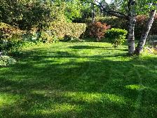 LAWN REPAIR - Photo 7