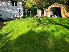LAWN REPAIR - Photo 8