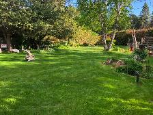 LAWN REPAIR - Photo 9