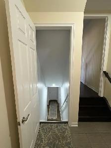 1 BEDROOM BASEMENT FOR RENT (KENNEDY & MAYFIELD) - Photo 3