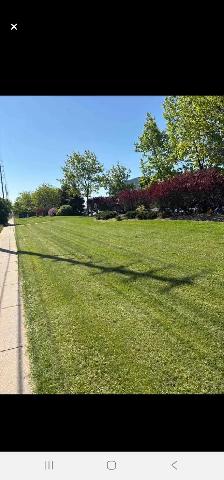 Grass Maintenance Crew Member – Commercial Landscape Maintenance