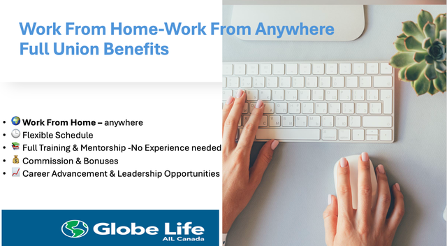 Remote Entry Level Representative