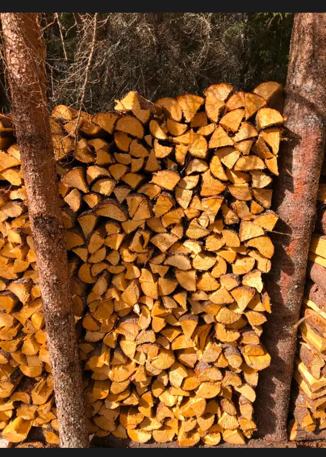 $200- Seasoned Birch firewood delivered