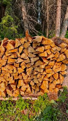$200- Seasoned Birch firewood delivered - Photo 2