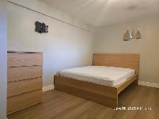 Large Private Bedrooms for Rent!! All Inclusive!! - Photo 7