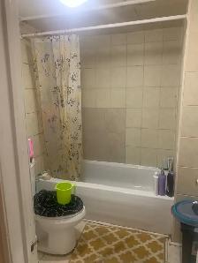 Basement for rent - Photo 2