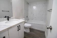 62 Terrace Ave, Welland - 3 Bedroom Main Unit - Photo 11