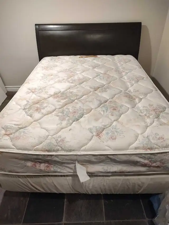 Sleigh Bed with Mattress and Box spring $250