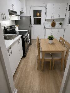 3½ Patio   Laundry | Near Parc La Fontaine | 438-873-8708 - Photo 3