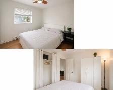 LARGE 1 BEDROOM FOR RENT – AVAILABLE NOW - Photo 3