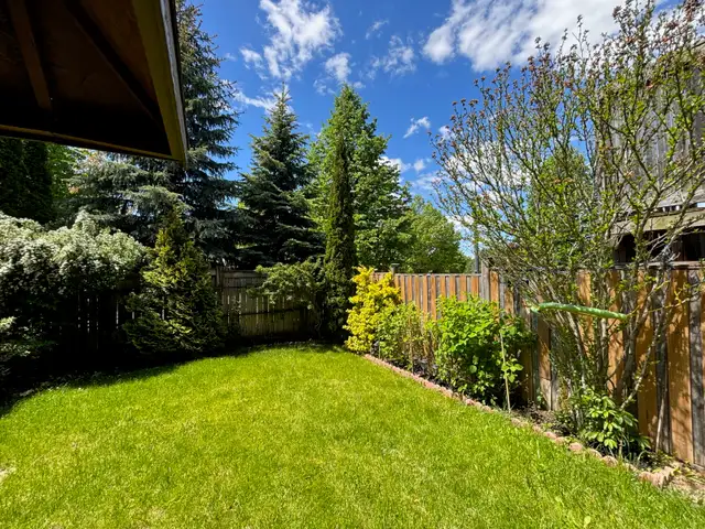 Basement Apartment For Rent