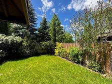 Basement Apartment For Rent