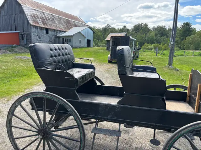 2 Seater horse drawn Carriage