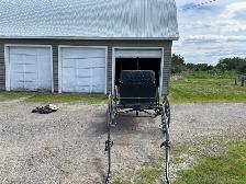 2 Seater horse drawn Carriage - Photo 4